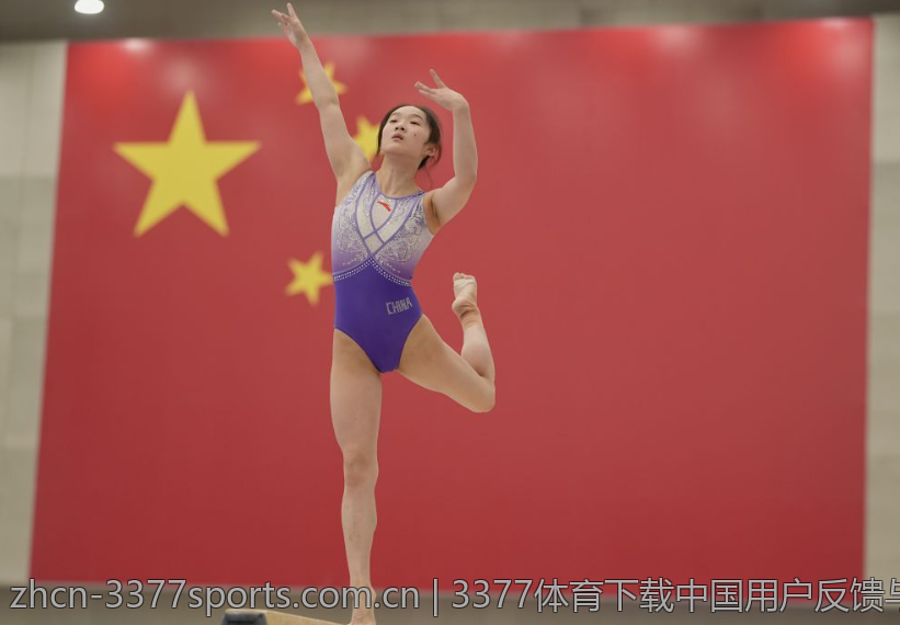 3377体育下载中国用户反馈与建议汇总