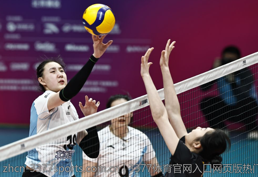 3377体育官网入口网页版热门游戏攻略