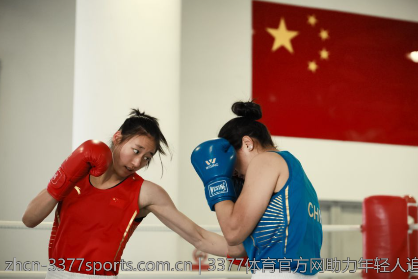 解密3377体育游戏入口的精彩活动